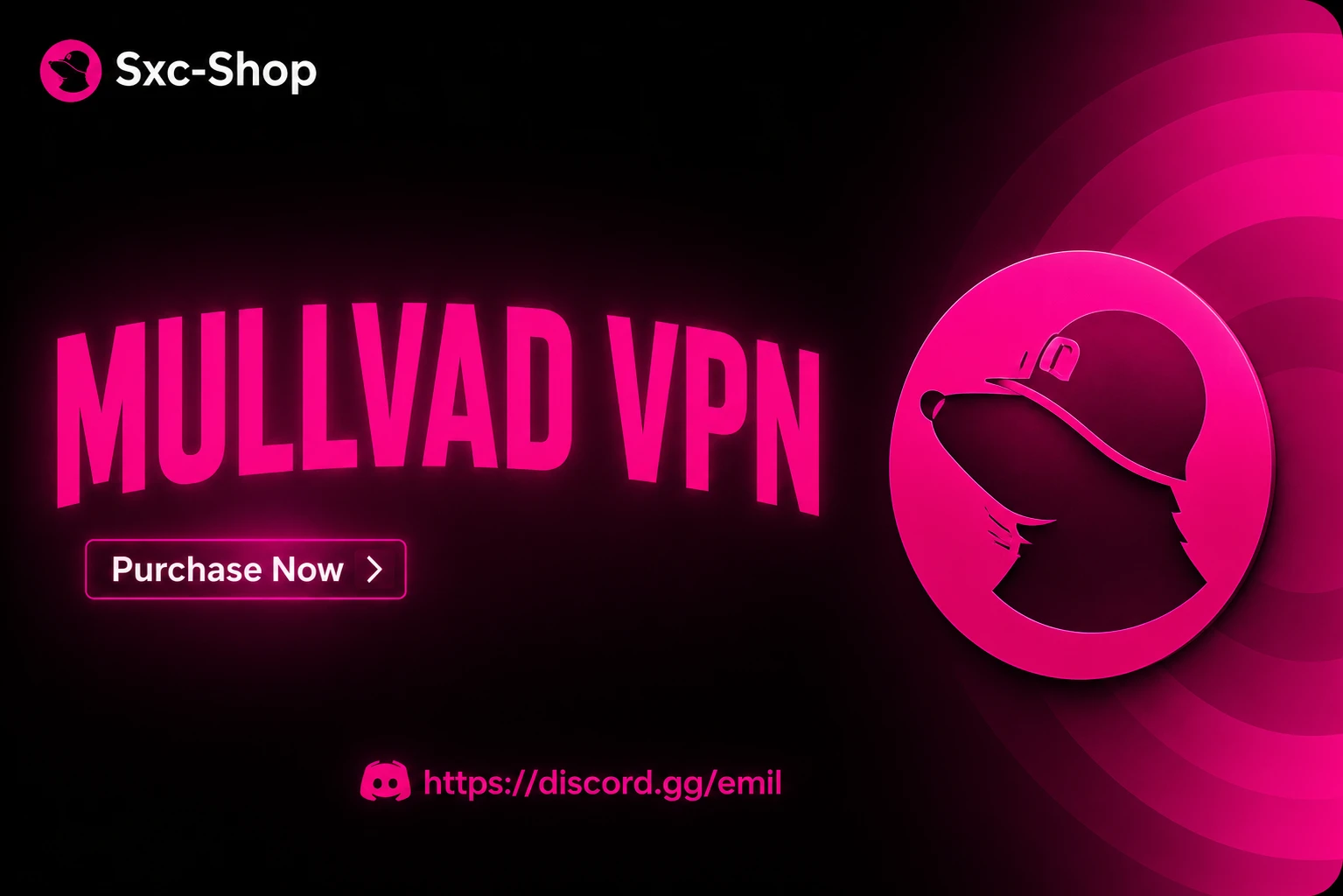 Mullvad VPN [Lifetime]